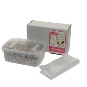 Grow Kit Mazatapec XP by FreshMushrooms
