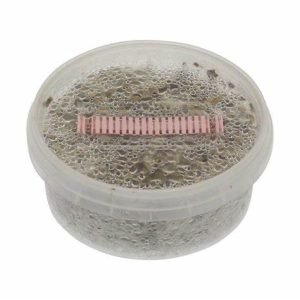 Grow Kit Thai