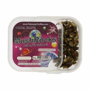 Magic Truffles Galindoi Mushrocks