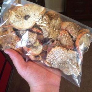 Amanita Muscaria