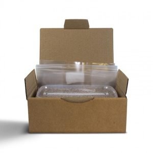 Grow kit Golden Teacher XP