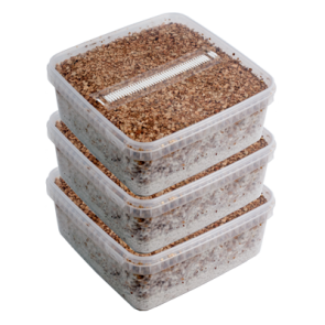 Magic Mushroom Grow Kits Combi Deal – 3 Pack